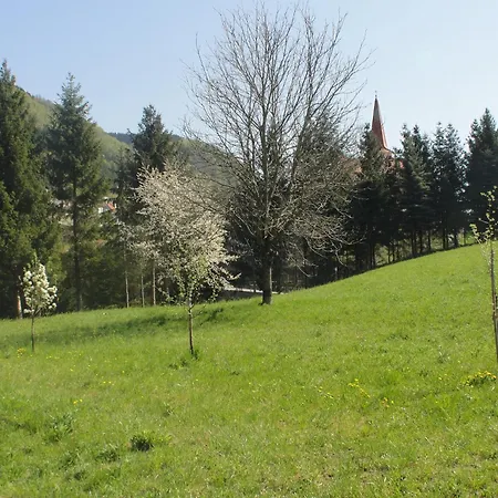 Apartament St. Nikola *