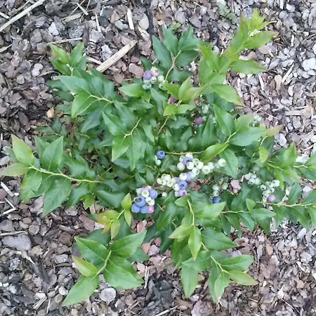 アパート St. Nikola