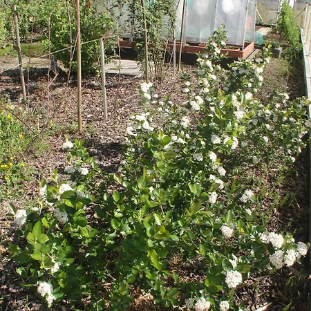 St. Nikola アパート Sankt Nikola an der Donau